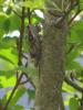 309413 – Photo : Elisabeth Godding – France (26)